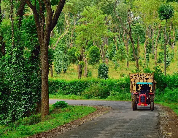 Bangalore to Coorg Taxi Booking
